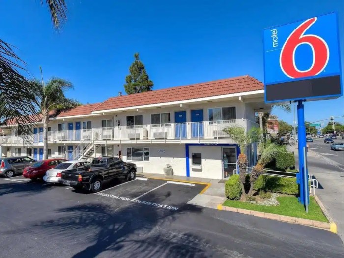 Franchise choices opportunities